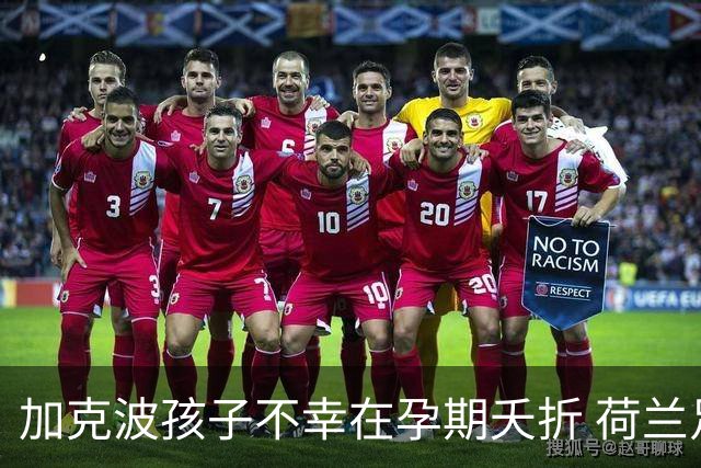 加克波孩子不幸在孕期夭折 荷兰足协：球员愿留队征战