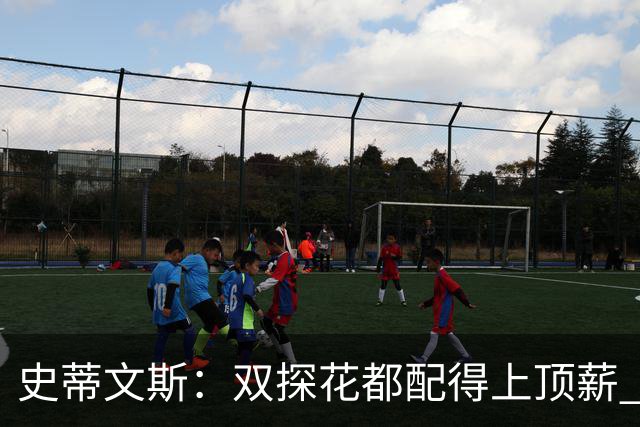史蒂文斯：双探花都配得上顶薪 坚信他俩能携手为绿军再次夺冠