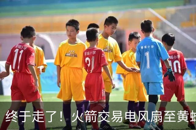 终于走了！火箭交易电风扇至黄蜂 还搭了3个次轮签