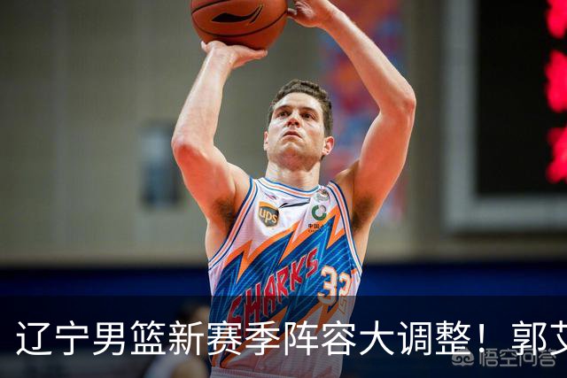 辽宁男篮新赛季阵容大调整！郭艾伦或重返辽篮，杨鸣有望回归